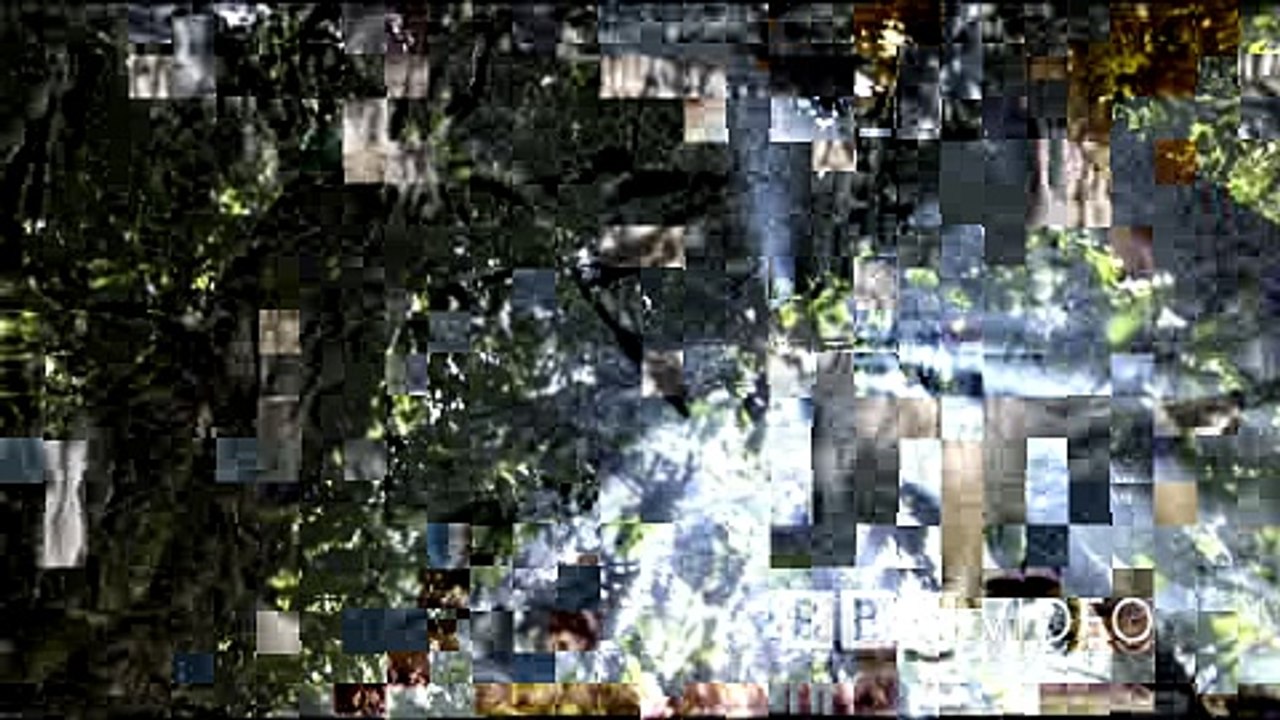 Planet Earth Day '09 Trailer