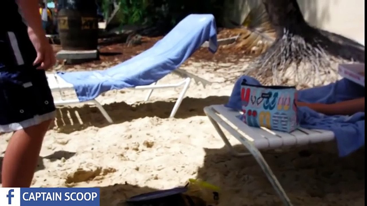 FUNNY Videos 2016
