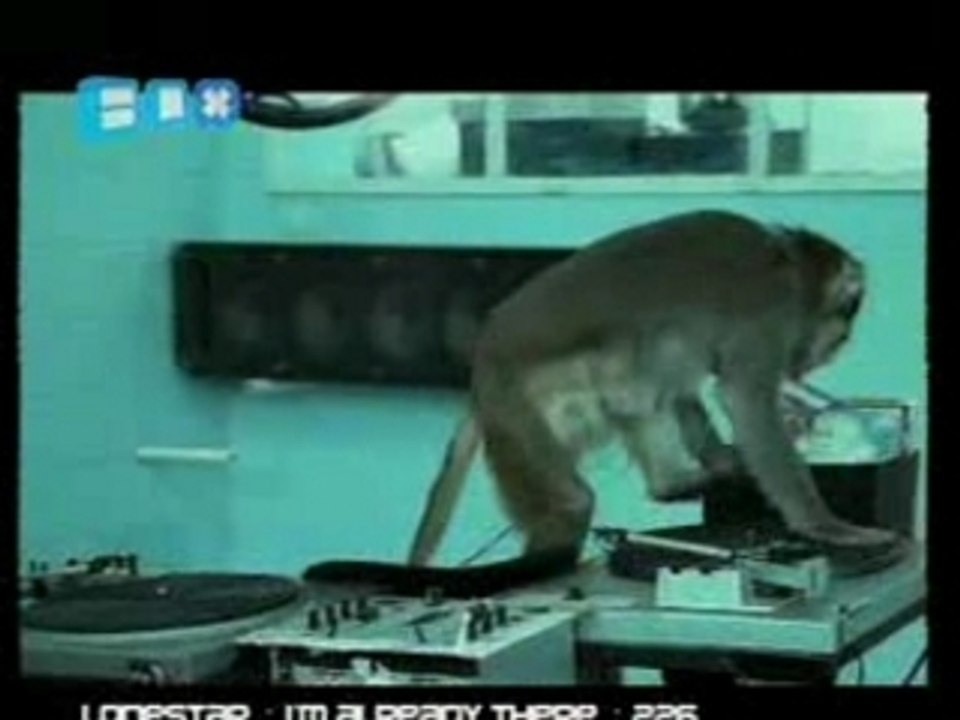 Basement Jaxx - Where's Your Head At