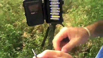 Record Quest: Tree Stand Prep