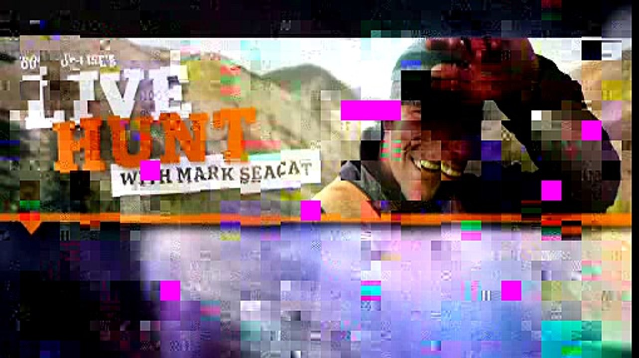 Live Hunt: Tip 2 - Shooting Positions