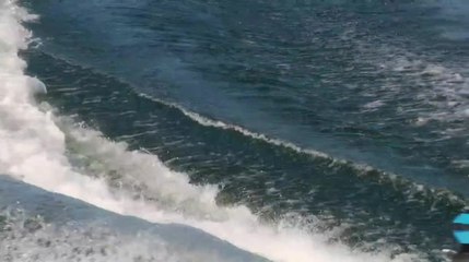 The Experience: Axis A20