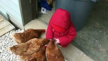 Babies Seeing Chickens For First Time