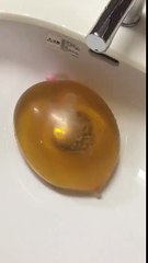 condom filled with tea