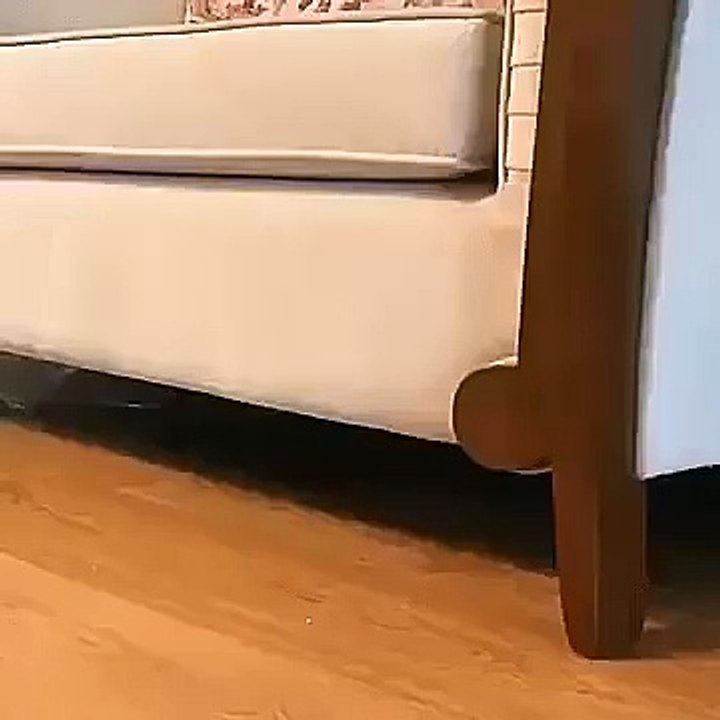 Hello from the underside !  Funny Videos 2016