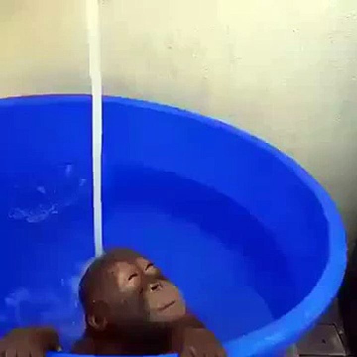 How I feel after a long day  Funny Videos 2015