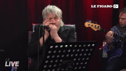 Arno - «Dance like a goose»