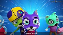 Cat Finger Family | Videogyan 3D Rhymes | Nursery Rhymes For Children