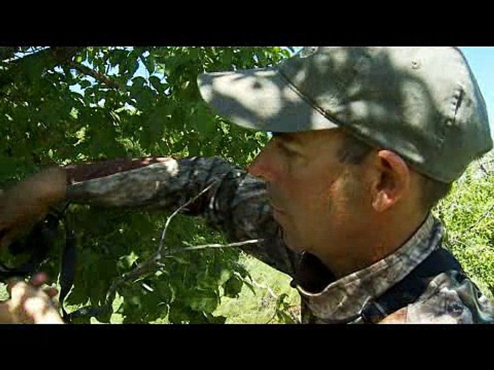 Record Quest: Picking Trail Cam Locations