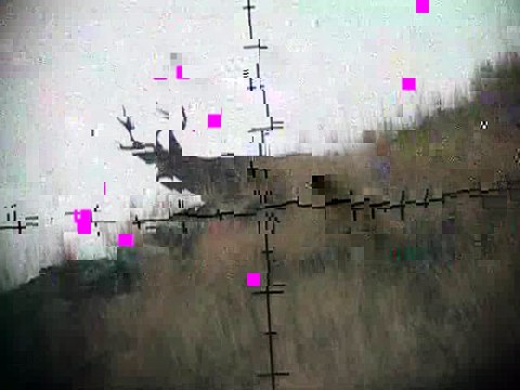 November 14th Mule Deer