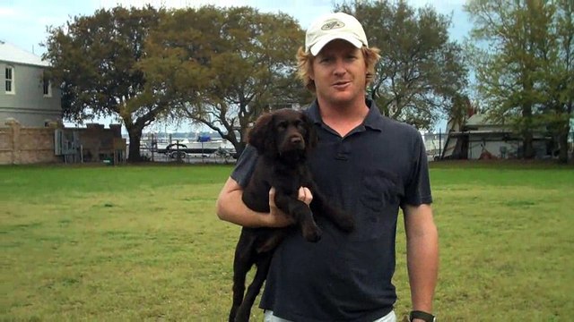 Pritchard Retrieving at 13 weeks