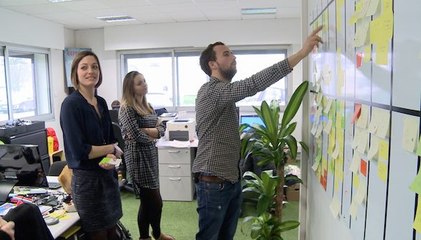 Management : chez Fruizz, la génération Y travaille en liberté