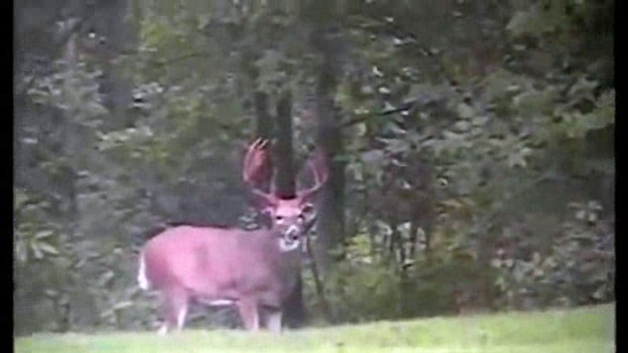 Record Quest: Minnesota Walking Record