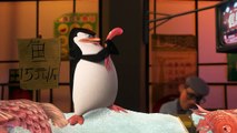 Los Pingüinos de Madagascar - Conociendo a los Pingüinos en Español (HD) |