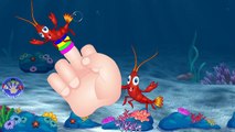 Aquatic Finger Family /Fish family/nursery rhymes