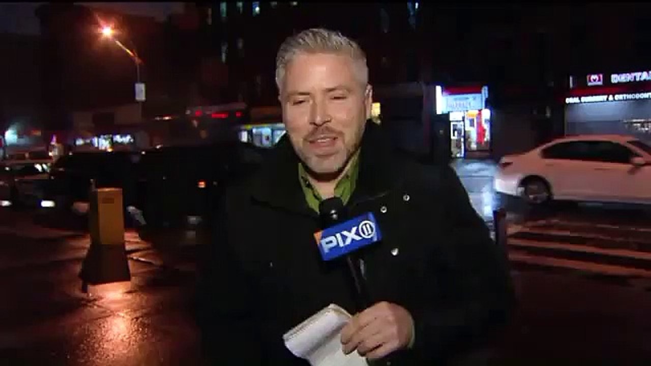 Kitty rescued from Bronx subway station gains fame in NYC