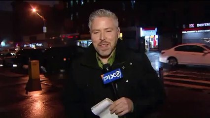 Kitty rescued from Bronx subway station gains fame in NYC
