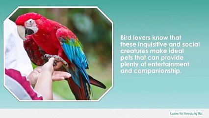 Interesting Tidbits About Birds