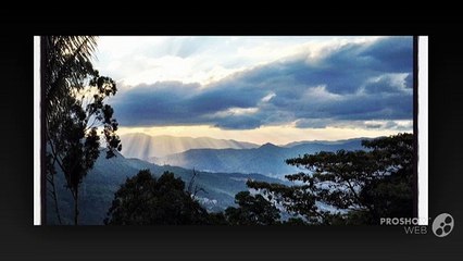 A Life Changing ayahuasca retreat at colombia