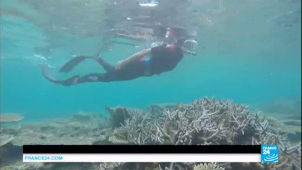 Coral reefs of Mauritius: Underwater paradise faces double environmental threat