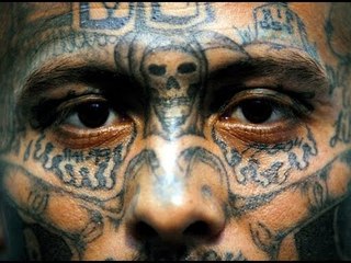 5 Most Dangerous Gangs In America