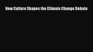 Download How Culture Shapes the Climate Change Debate  Read Online