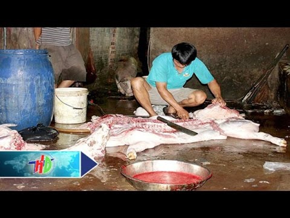 "Kinh hãi" điểm giết mổ gia súc, gia cầm | HDTV