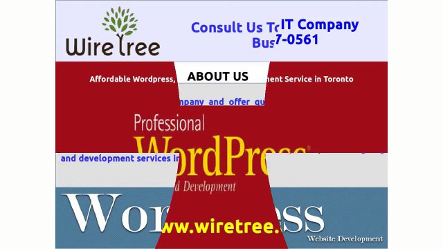 Professional Wordpress Web Design and Development Service in Toronto