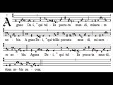 Agnus Dei missa II, Fons bonitatis