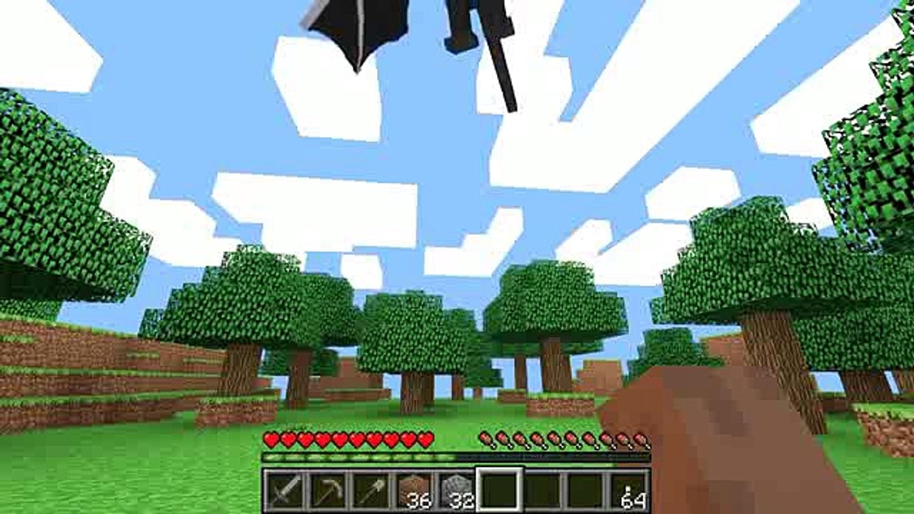 The EnderDragon (Minecraft Animation)