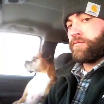 Dog Chest Slap while Cruising For Coyotes