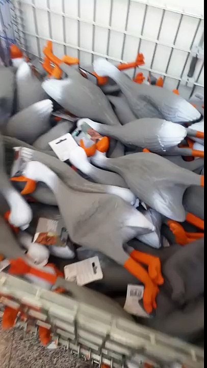 Duck Army
