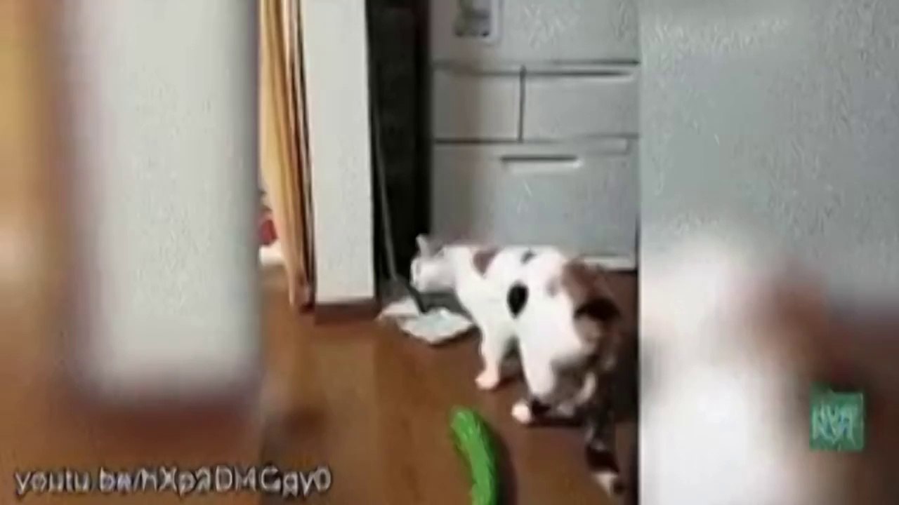 Funny fail compilation 2