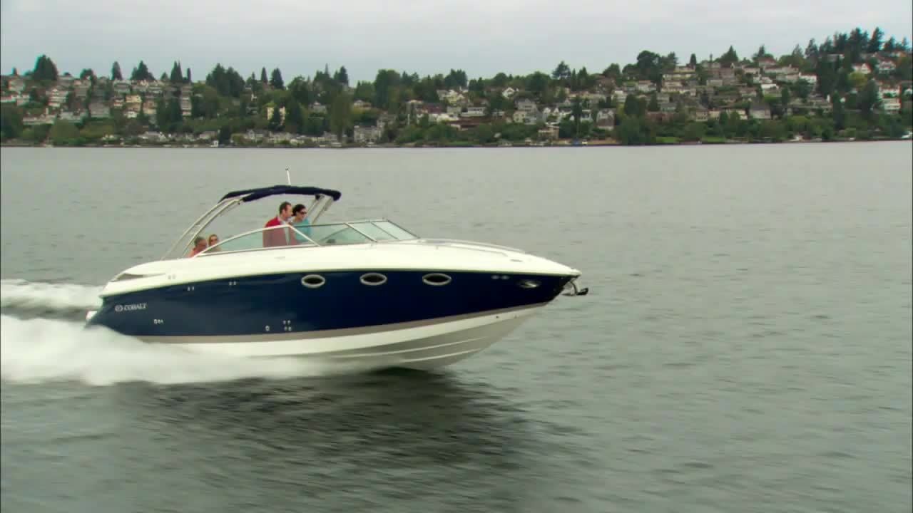 Cobalt 323