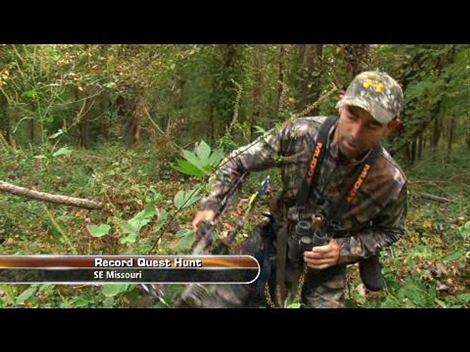 Record Quest: Maintaining Habitat