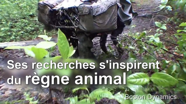 Les robots de Boston Dynamics sont vos futurs animaux de compagnie