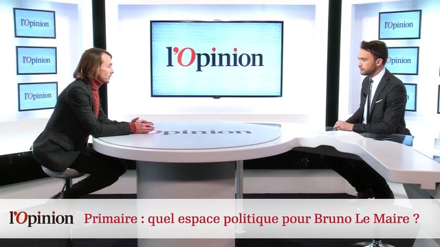 Primaire : quel espace politique pour Bruno Le Maire ?
