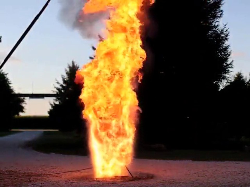 Fire Bird