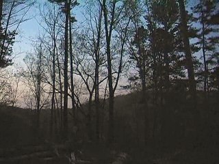 Call Before you Hunt