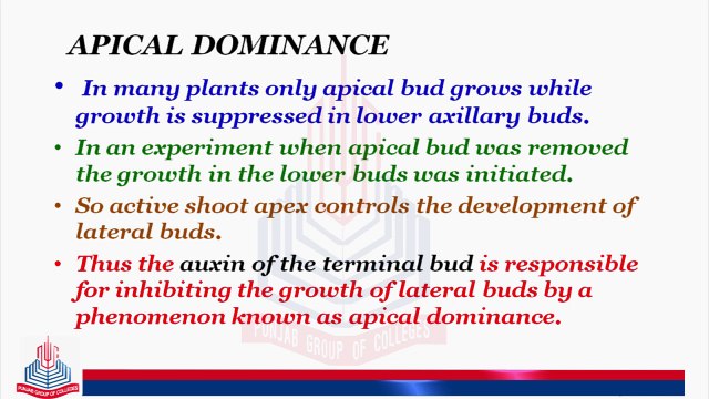Growth Correlation ,Apical Dominance & Compensatory Effect