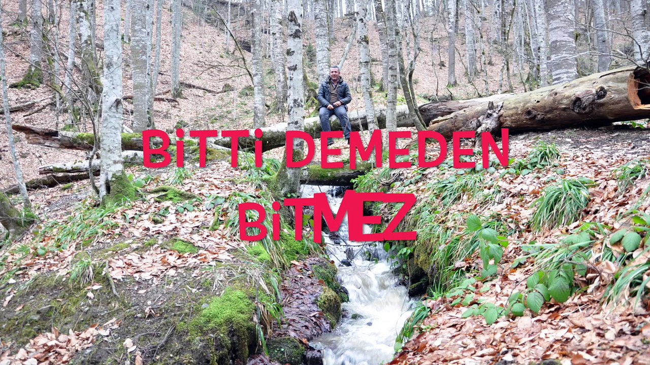 duvardibi