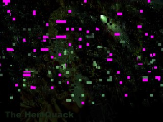 Ryan Nolan: Hen Quack