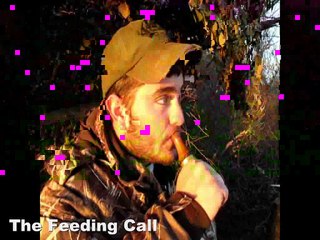 Ryan Nolan: Feeding Call