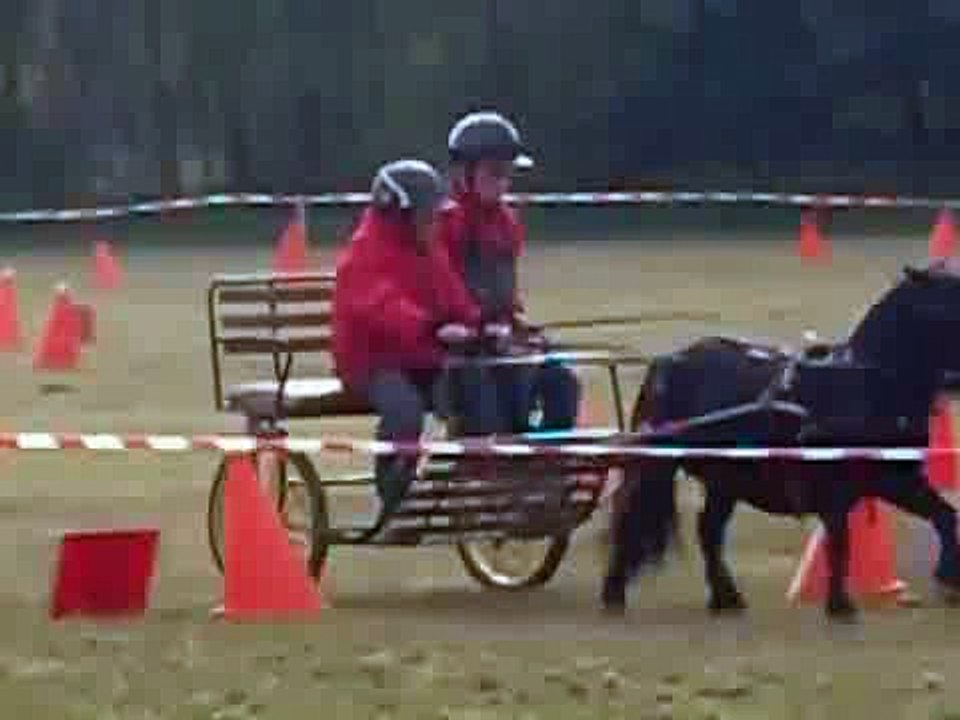 PONEY_CONCOURS_DE_ATTELAGE