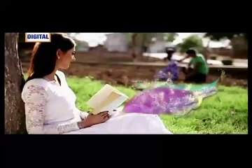 Gudiya Rani Episode 168 on Ary Digital Top Drama - 23  February 2016