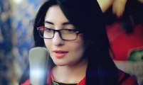 Tuhe Mera Dil :- Indian Video Song Mashup ( Gul Panra )