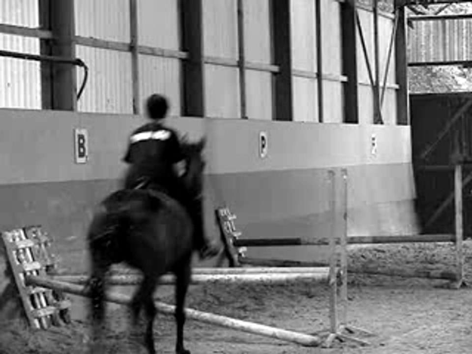 ? et ? en saut d'obstacle