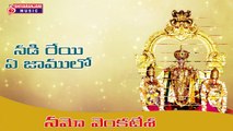 Namo Venkatesa || Nadireyi Ye Jamulo || Sri Venkateswara Swami Devotional Songs