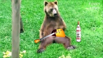 Funny videos - Fails Wins compilation 2016 #5