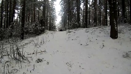 Санный спорт в Висагинасе: Оля